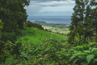 Scenic view of landscape and sea against sky