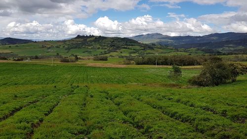 Scenic view of field against sky
