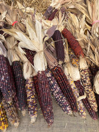 Close-up of food