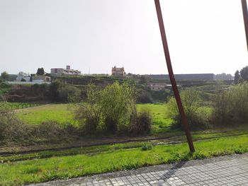 Plants growing on field against clear sky