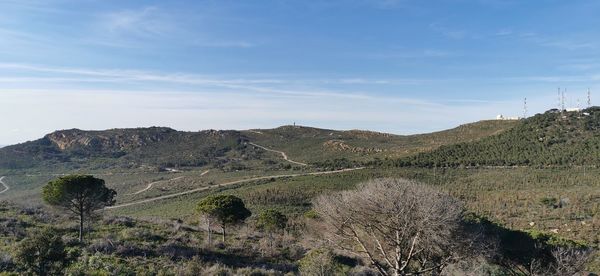 Scenic view of landscape against sky