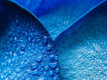 Full frame shot of wet glass in swimming pool