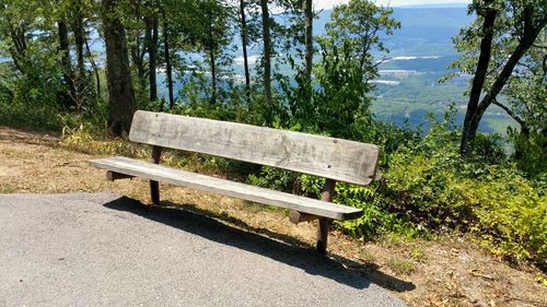 Empty wooden bench on roadside against trees