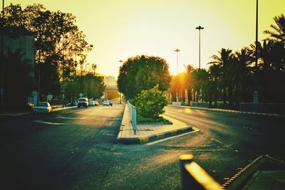 Street amidst trees against sky during sunset