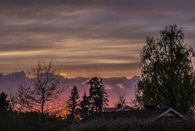 Low angle view of trees against cloudy sky