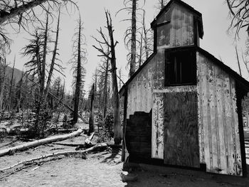 Abandoned building by trees on field during winter