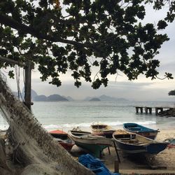 Scenic view of beach