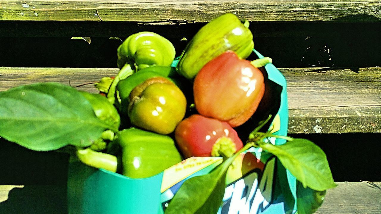 CLOSE-UP OF FRESH FRUITS ON GREEN CONTAINER