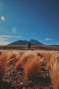 Scenic view of landscape against clear sky