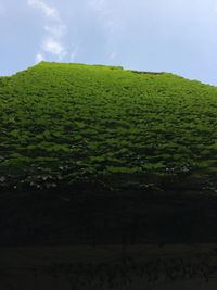 Low angle view of green field against sky