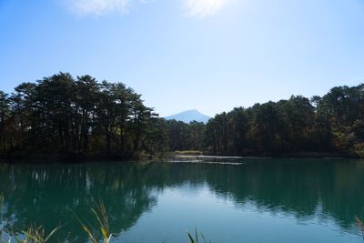 Scenic view of lake by trees against sky