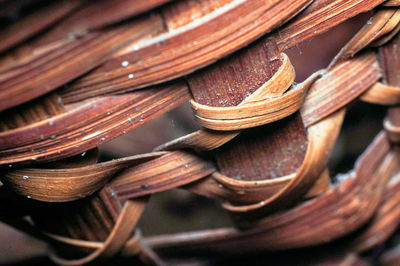 Full frame shot of food for sale