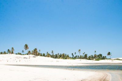 Scenic view of beach against clear blue sky