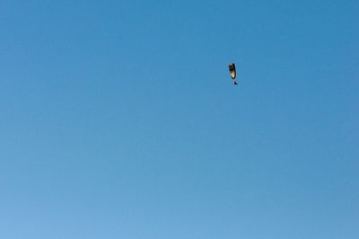 Low angle view of eagle flying against clear blue sky