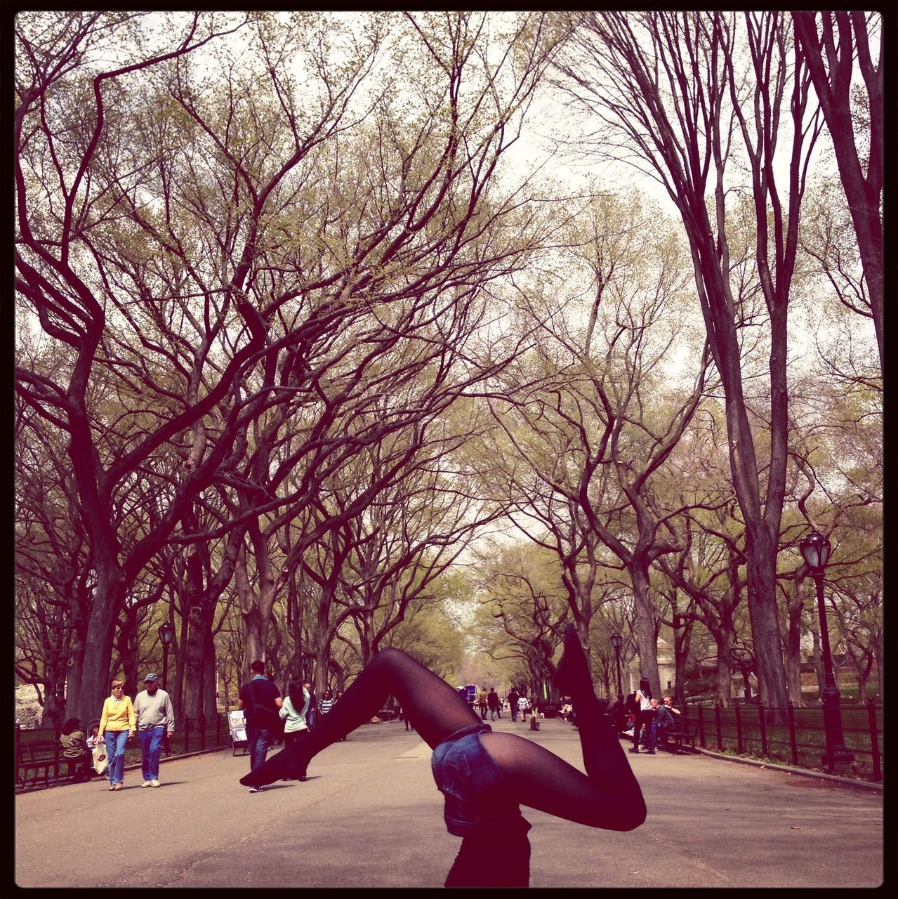 tree, lifestyles, transfer print, leisure activity, person, auto post production filter, park - man made space, full length, branch, men, walking, casual clothing, rear view, tree trunk, park, day, childhood, togetherness