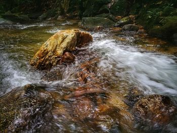 Water flowing through rocks in forest