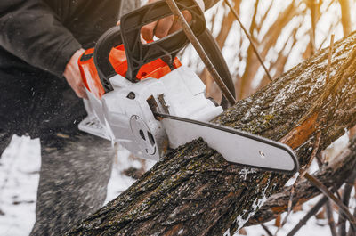 Midsection of man cutting tree trunk with hand saw