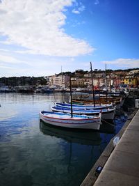 Sailboats moored at harbor