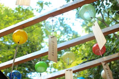 Low angle view of lanterns hanging on tree