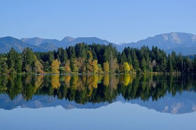 Scenic view of lake by trees against sky