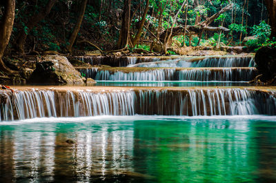 Scenic view of waterfall in forest