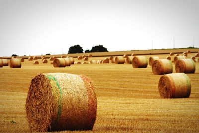 Hay bales on field against sky