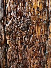 Full frame shot of tree trunk