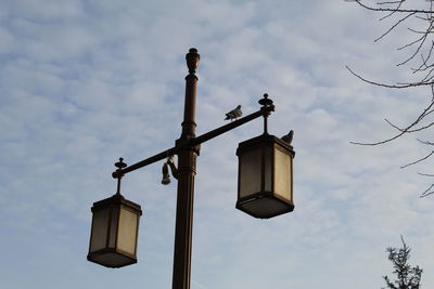 Low angle view of bird perching on street light against sky