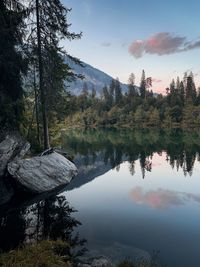 Scenic view of lake by trees against sky