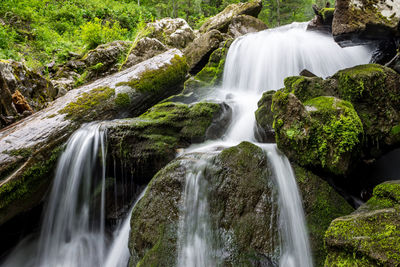 Scenic view of waterfall in forest