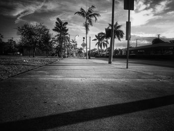 Road by palm trees against sky