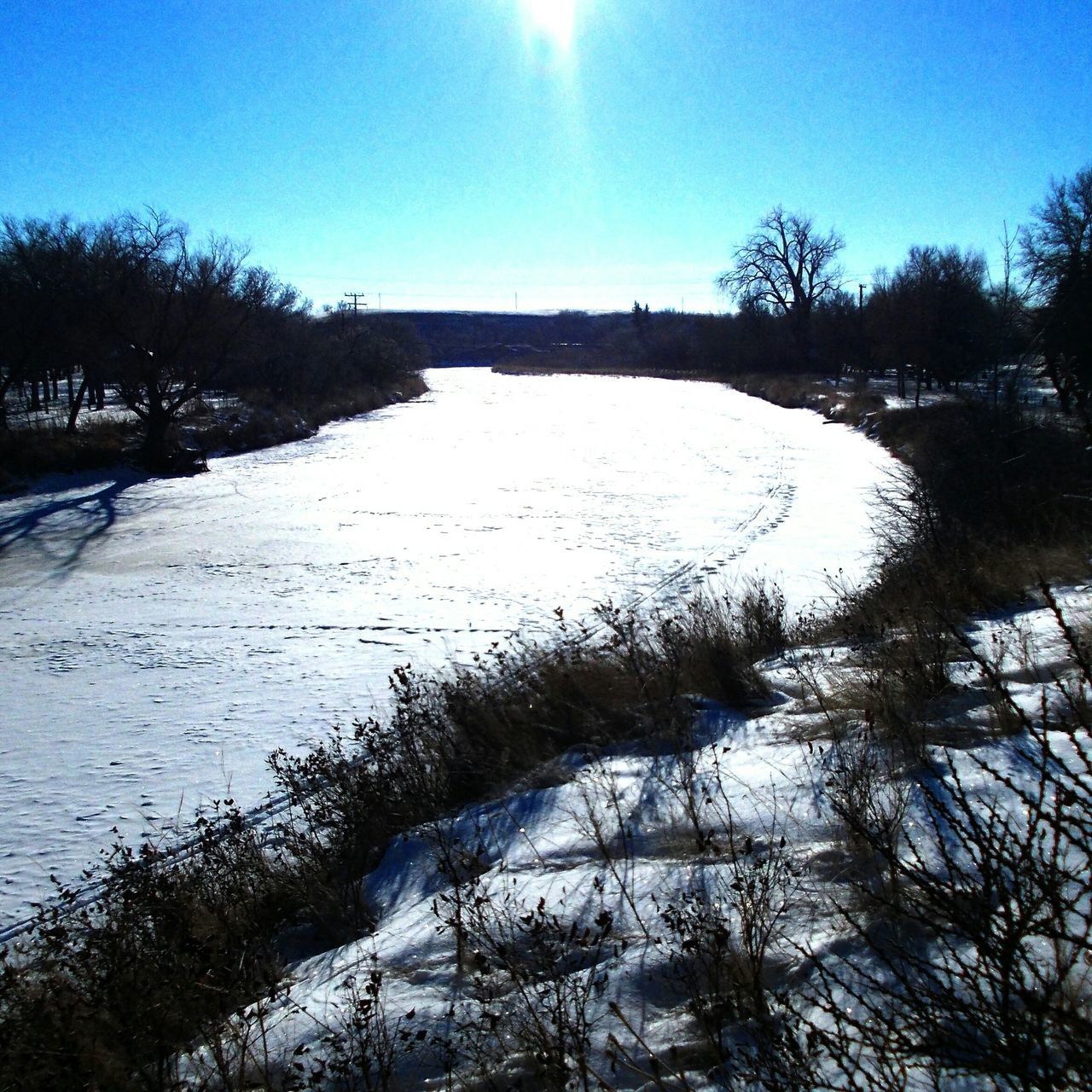 water, tree, clear sky, tranquil scene, tranquility, blue, scenics, beauty in nature, reflection, sunlight, nature, lake, bare tree, sun, sky, beach, idyllic, day, river, non-urban scene