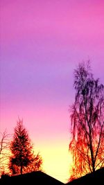 Low angle view of silhouette trees against clear sky