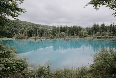 Scenic view of lake against sky