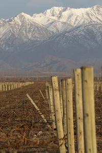 Wooden posts on mountain range