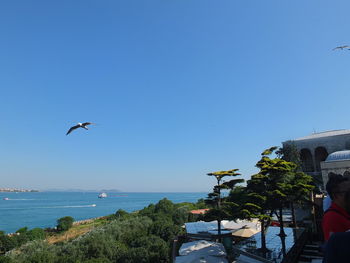 Seagulls flying over sea against clear blue sky