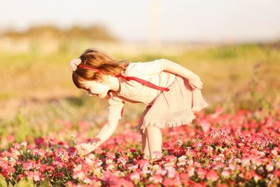 Side view of woman with pink flowering plants on field