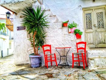 Potted plants on house wall