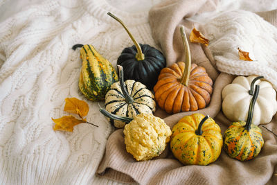 Multicolored pumpkins and dry autumn leaves on wooden background.