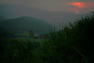 Scenic view of field against sky during sunset