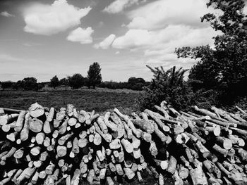 Stack of logs against sky