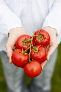 Midsection of woman holding tomatoes