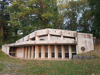 Old wooden structure on field by trees in forest