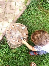 High angle view of boy by tree stump on field
