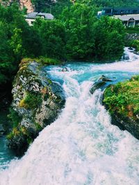 Scenic view of waterfall in forest
