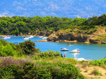 Scenic view of lake by trees against blue sky