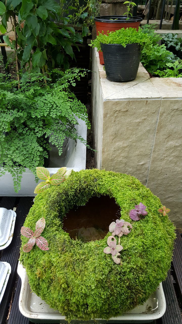 POTTED PLANTS IN GARDEN