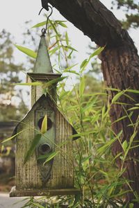Close-up of birdhouse hanging on tree