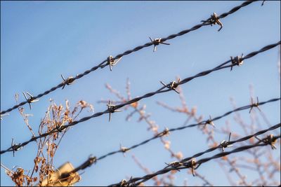 Low angle view of barbed wire against clear sky