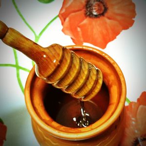 Close-up of an animal